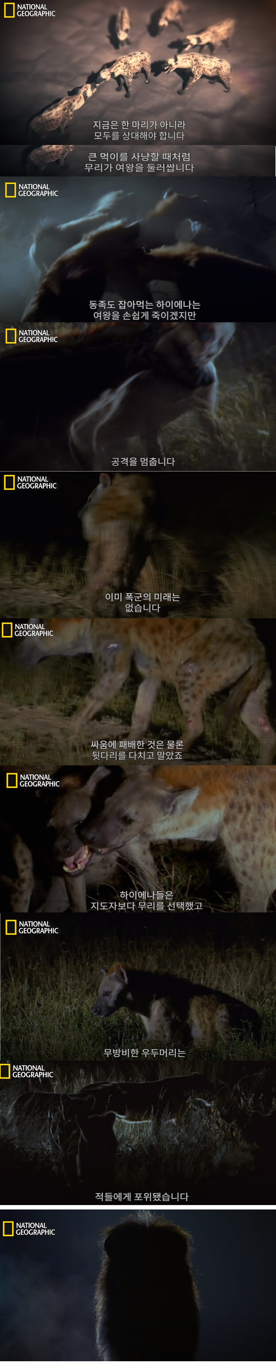 적당히 갑질 해야하는 이유.jpg_2.png