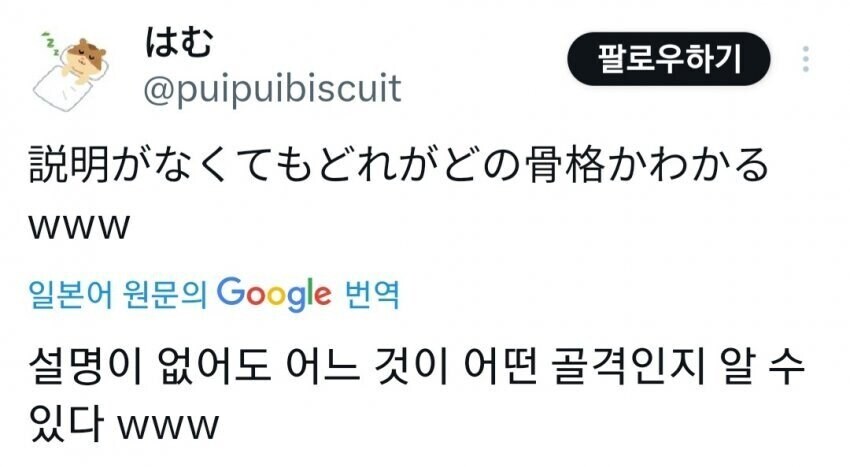 일본 누님이 알려주는 현실적인 여자 골격_7.jpg