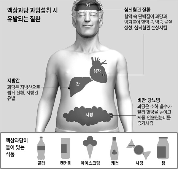 코카콜라의 제조 비법이 바뀐 이유 JPG_3.jpg