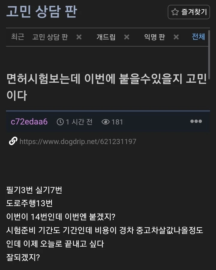 제발 면허 따지 마세요. 라고 모두가 사정함._1.webp
