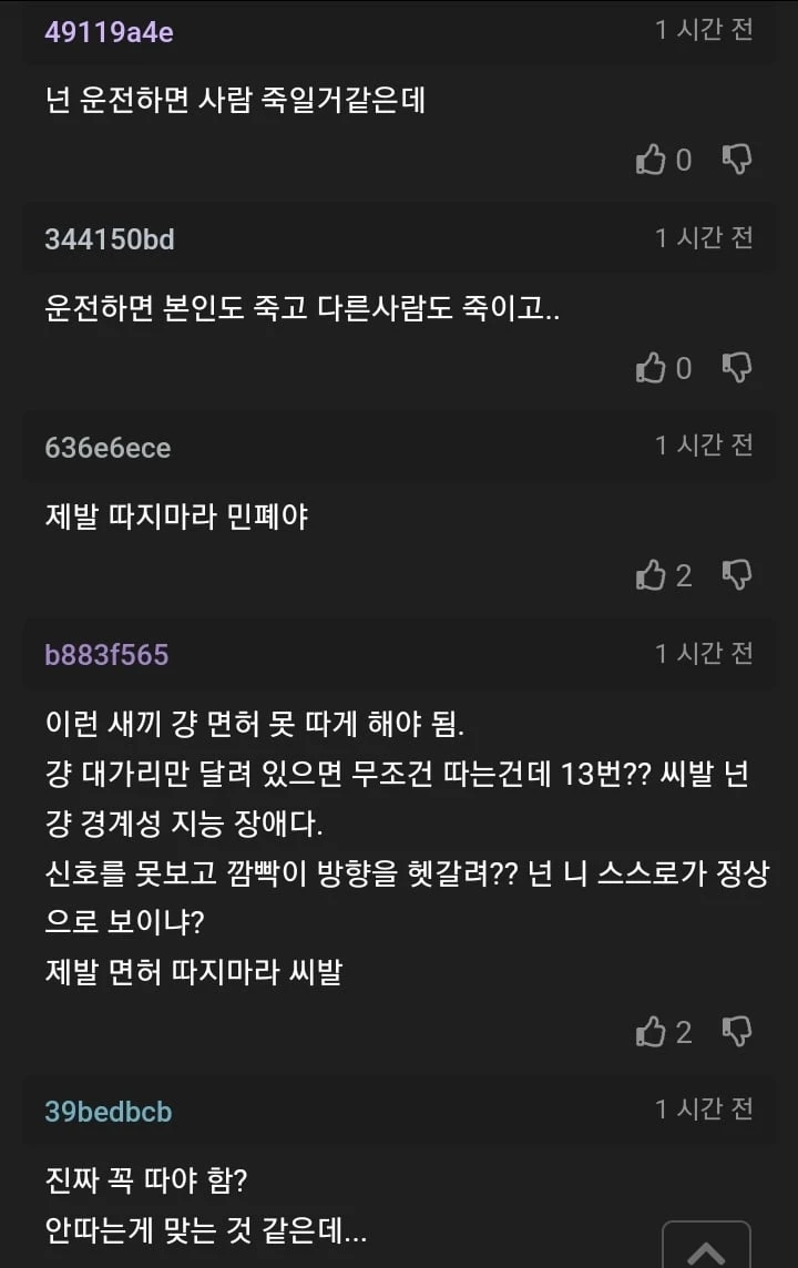 제발 면허 따지 마세요. 라고 모두가 사정함._3.webp