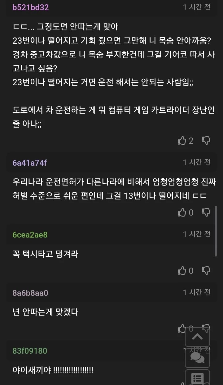 제발 면허 따지 마세요. 라고 모두가 사정함._4.webp
