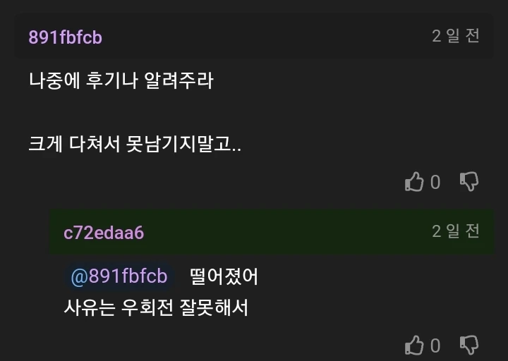 제발 면허 따지 마세요. 라고 모두가 사정함._9.webp