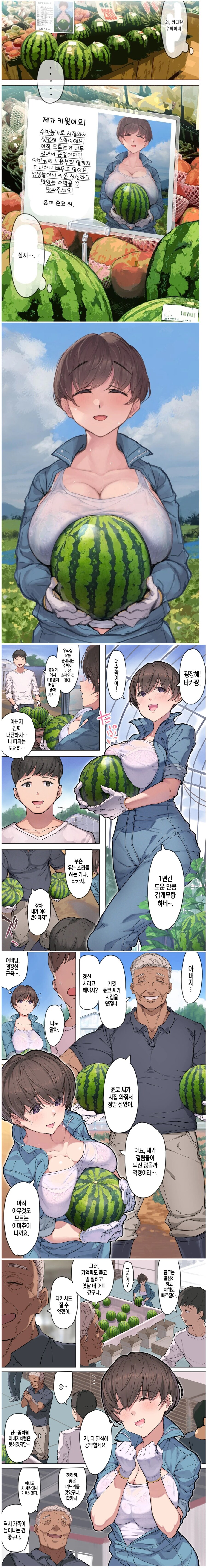 수박 농가에서 열심히 일하는 착실한 며느리.jpg_1.jpg
