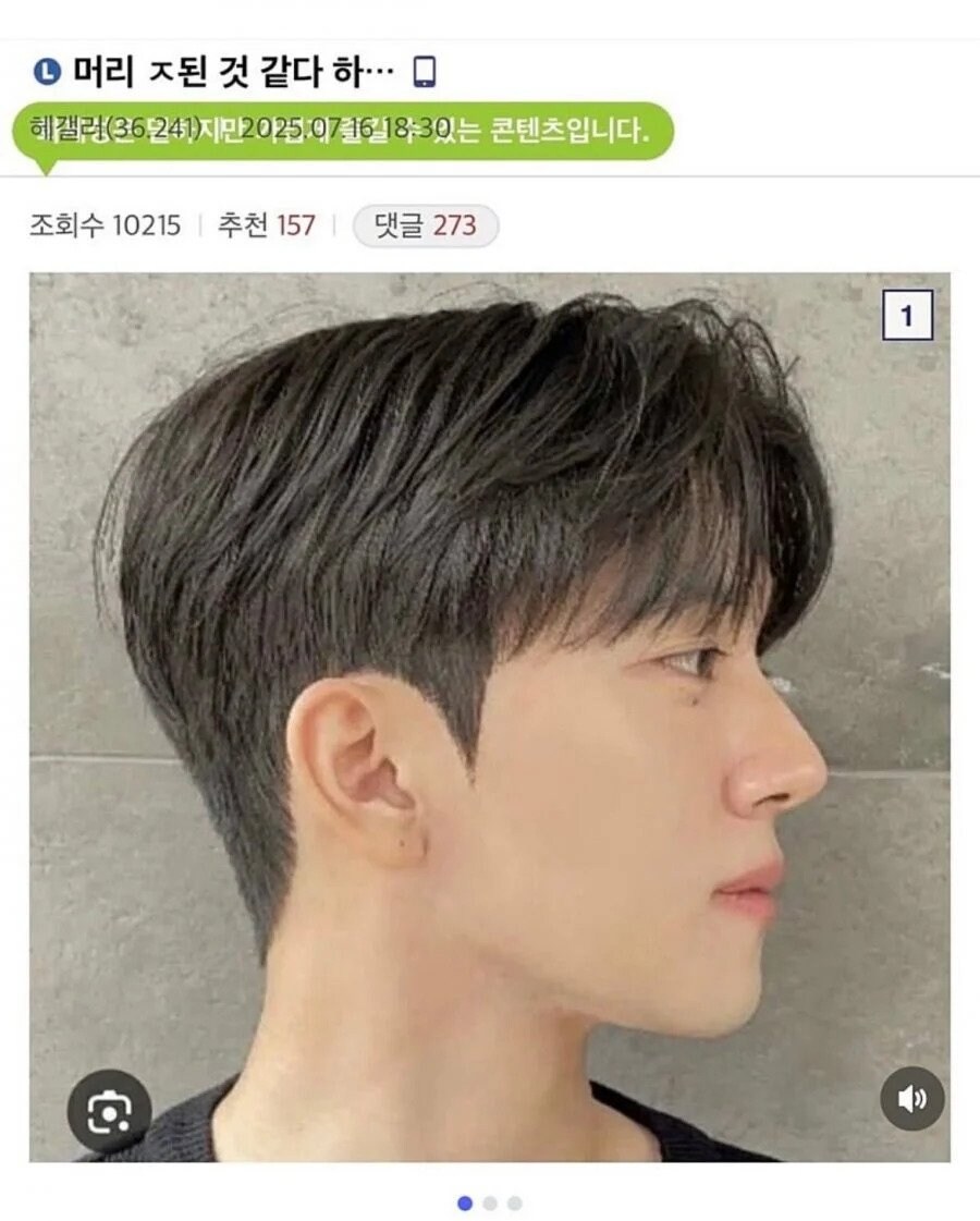 머리 ㅈ된 것 같다는 디씨인._1.jpg