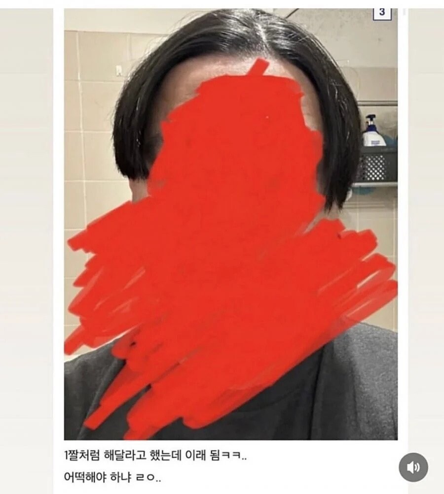 머리 ㅈ된 것 같다는 디씨인._3.jpg