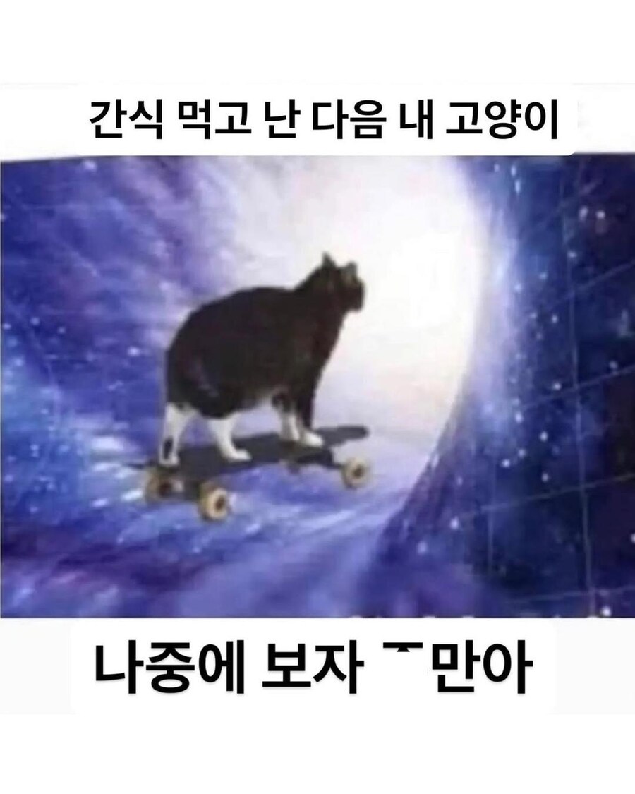 간식 먹은 뒤 고양이 특.jpg_1.jpg