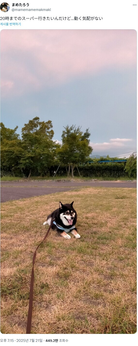 빨리 장보고 집에 가고싶은 견주.jpg_1.jpg