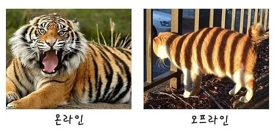 방구석 여포의 온라인과 오프라인.jpg_1.webp