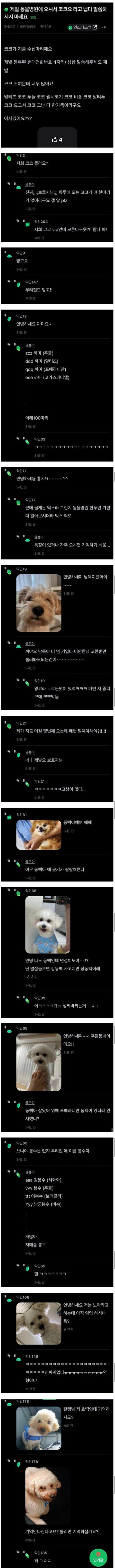 동물병원에 가서 코코요 라고 말하지 마세요_1.jpg
