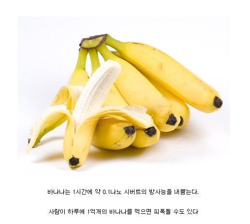 바나나 먹으면 죽는대 ㅠㅜ_1.jpg