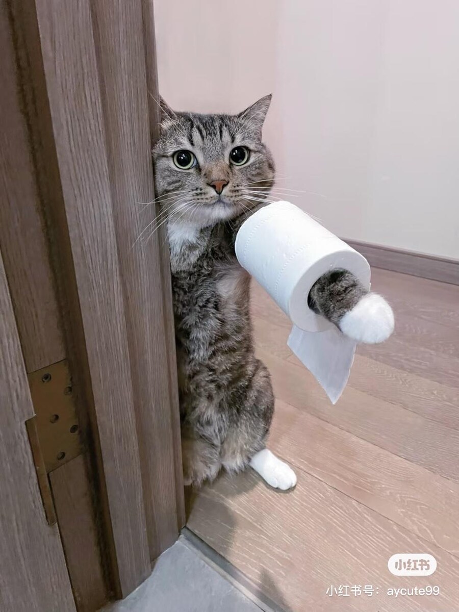 집사 화장실!_1.jpg