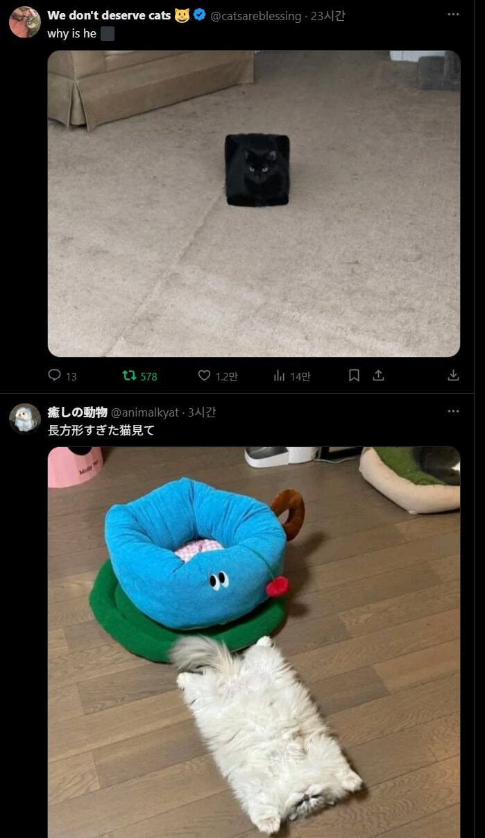 네모네모고먐미.jpg_1.jpg