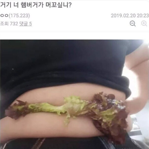 거기 너 햄버거가 먹고싶니?.jpg_1.jpg
