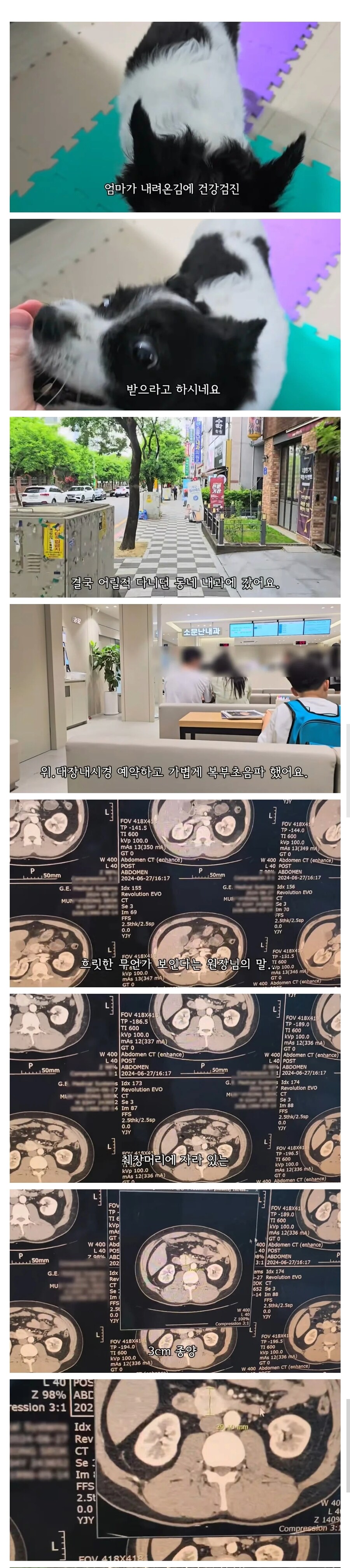 엄마 덕분에 췌장암 찾은 유튜버_1.jpg