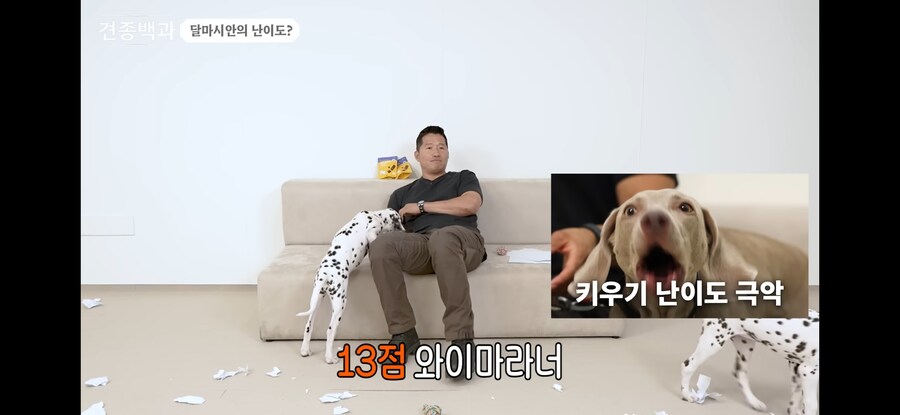강형욱 훈련사 접게만들뻔한 견종_3.jpg