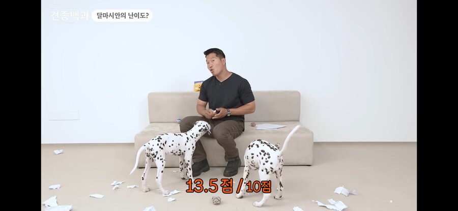 강형욱 훈련사 접게만들뻔한 견종_4.jpg