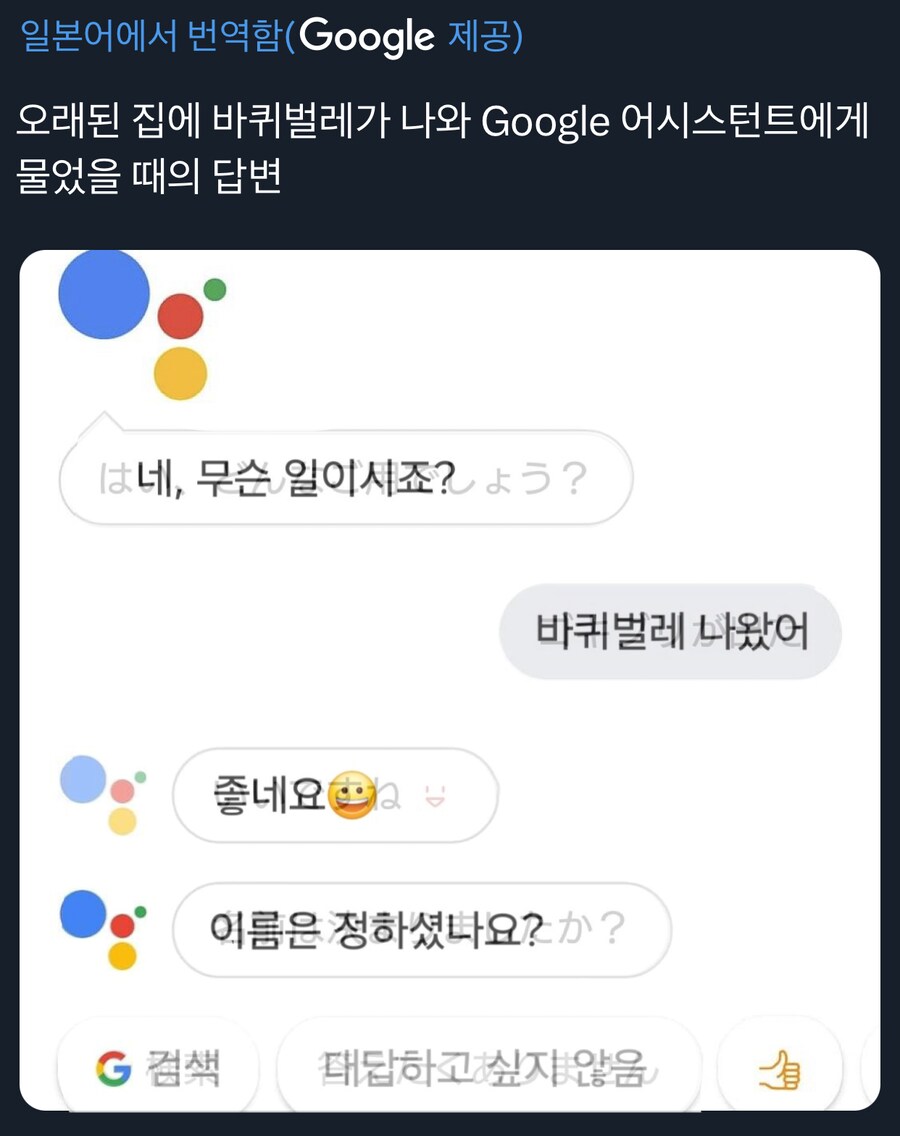 집에 바퀴벌레가 나와서 구글 어시스트에게 물어봄.jpg_1.png