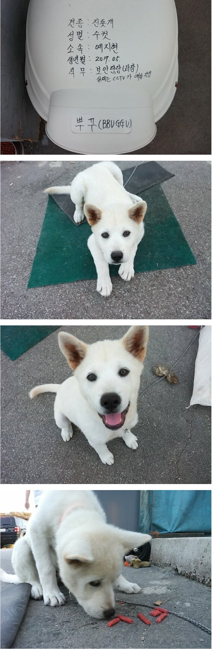 보안과장 좀 개같지 않냐?.jpg_1.jpg