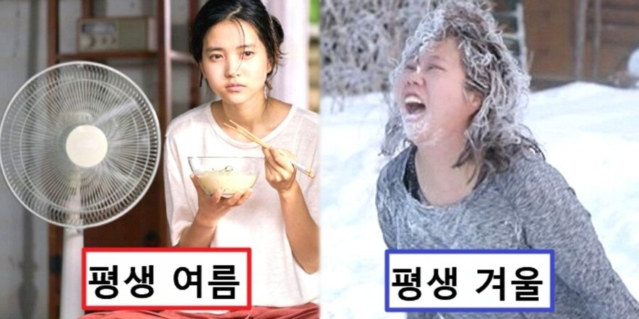 여름 vs 겨울_1.jpg