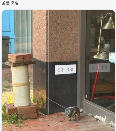 이상한 도시의 풍경을 자랑해주세요!_3.png
