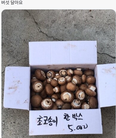 이상한 도시의 풍경을 자랑해주세요!_9.png