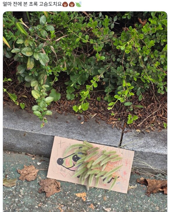 이상한 도시의 풍경을 자랑해주세요!_11.png