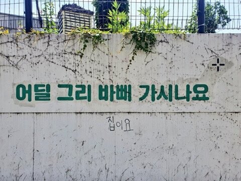 이상한 도시의 풍경을 자랑해주세요!_14.jpg