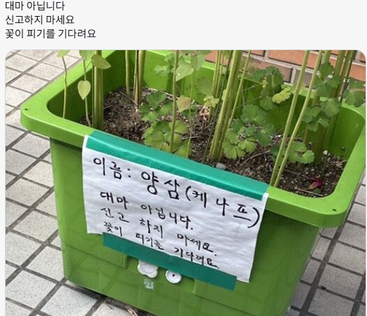 이상한 도시의 풍경을 자랑해주세요!_12.png