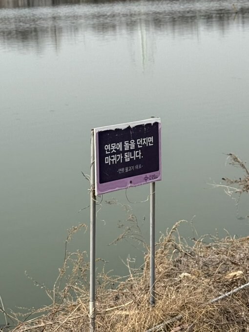 이상한 도시의 풍경을 자랑해주세요!_13.jpg