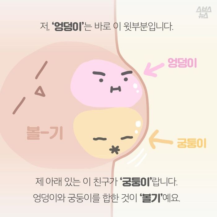 엉덩이와 궁둥이의 차이_1.jpg