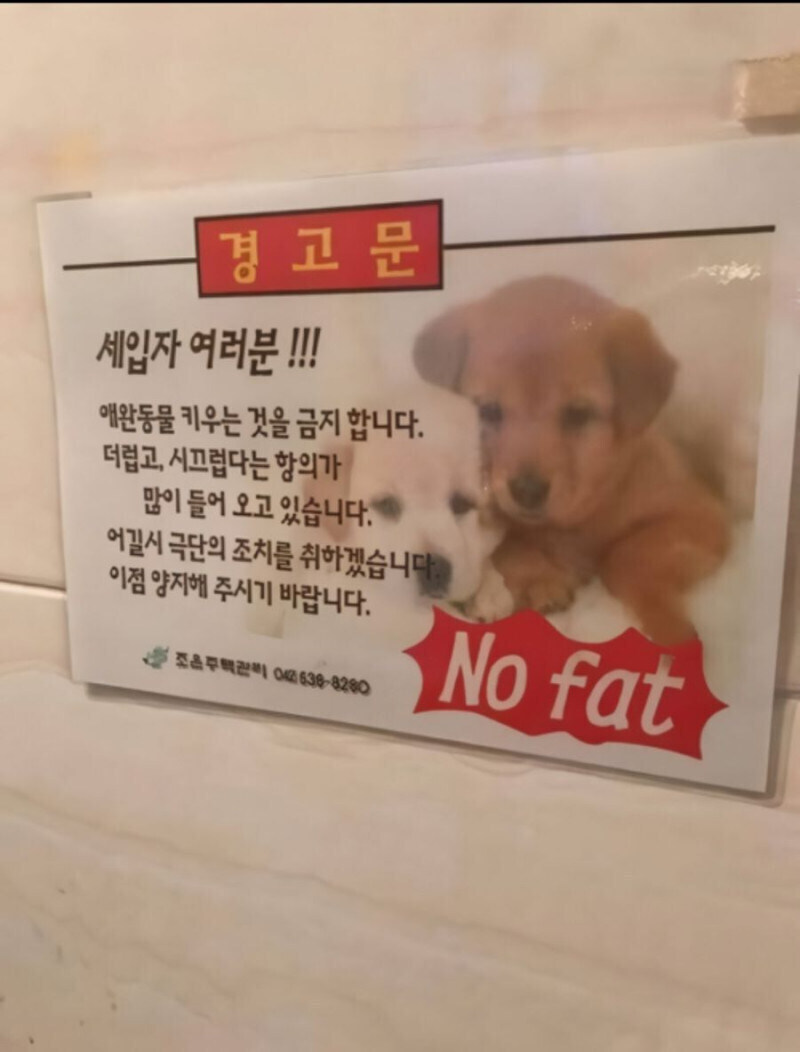 살찌지 마세요_1.jpg