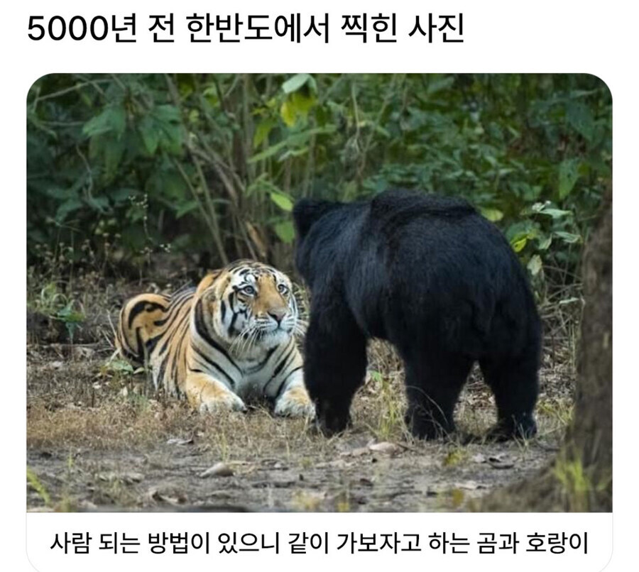 5천년 전 한반도에서 찍힌 사진.jpg_1.jpg