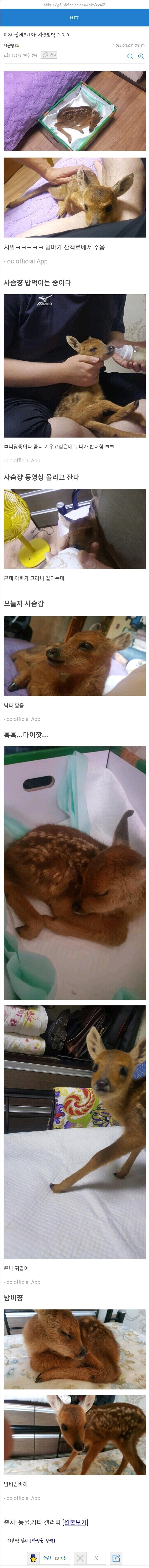 ㅁㅊ 집에 오니까 사슴 있닼_1.jpg