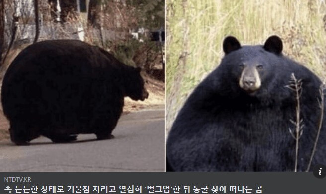 환웅님 100일만 버티면 되는거죠?_1.png