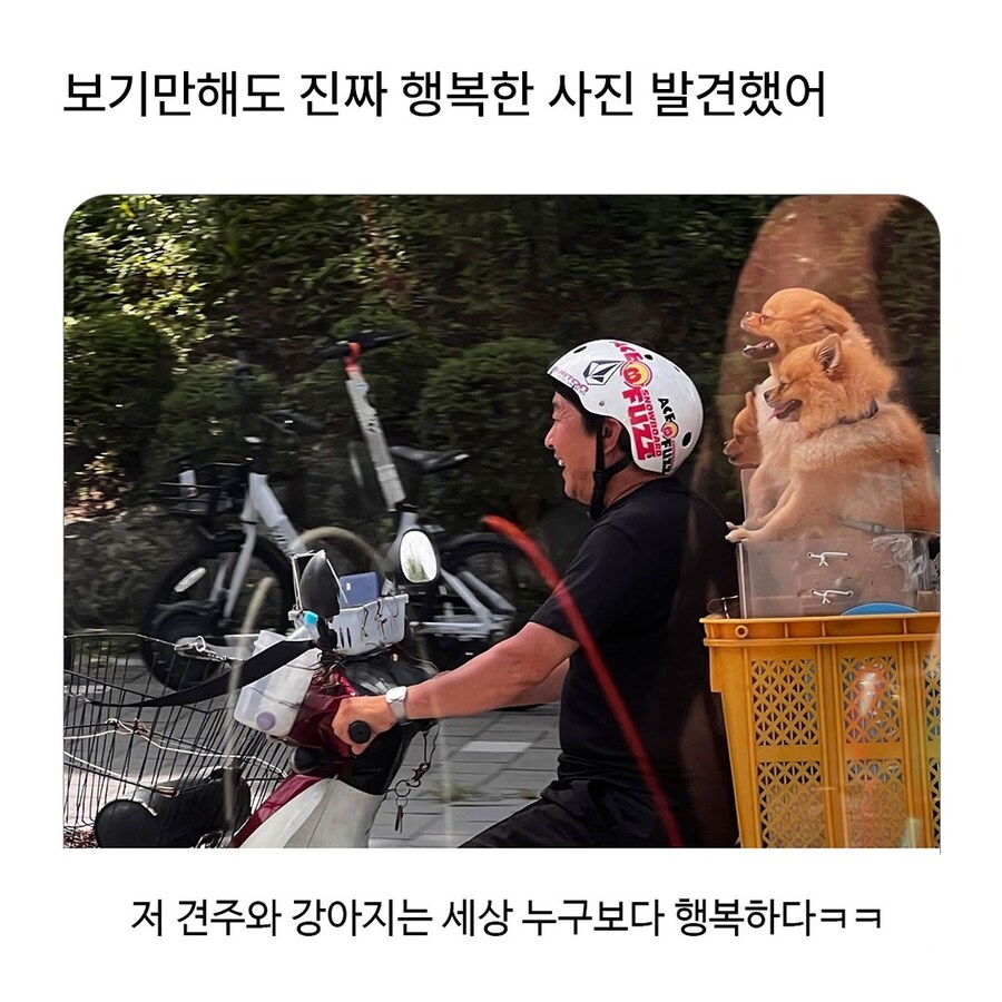 진짜 행복해 보이는 사진 한장_1.jpg