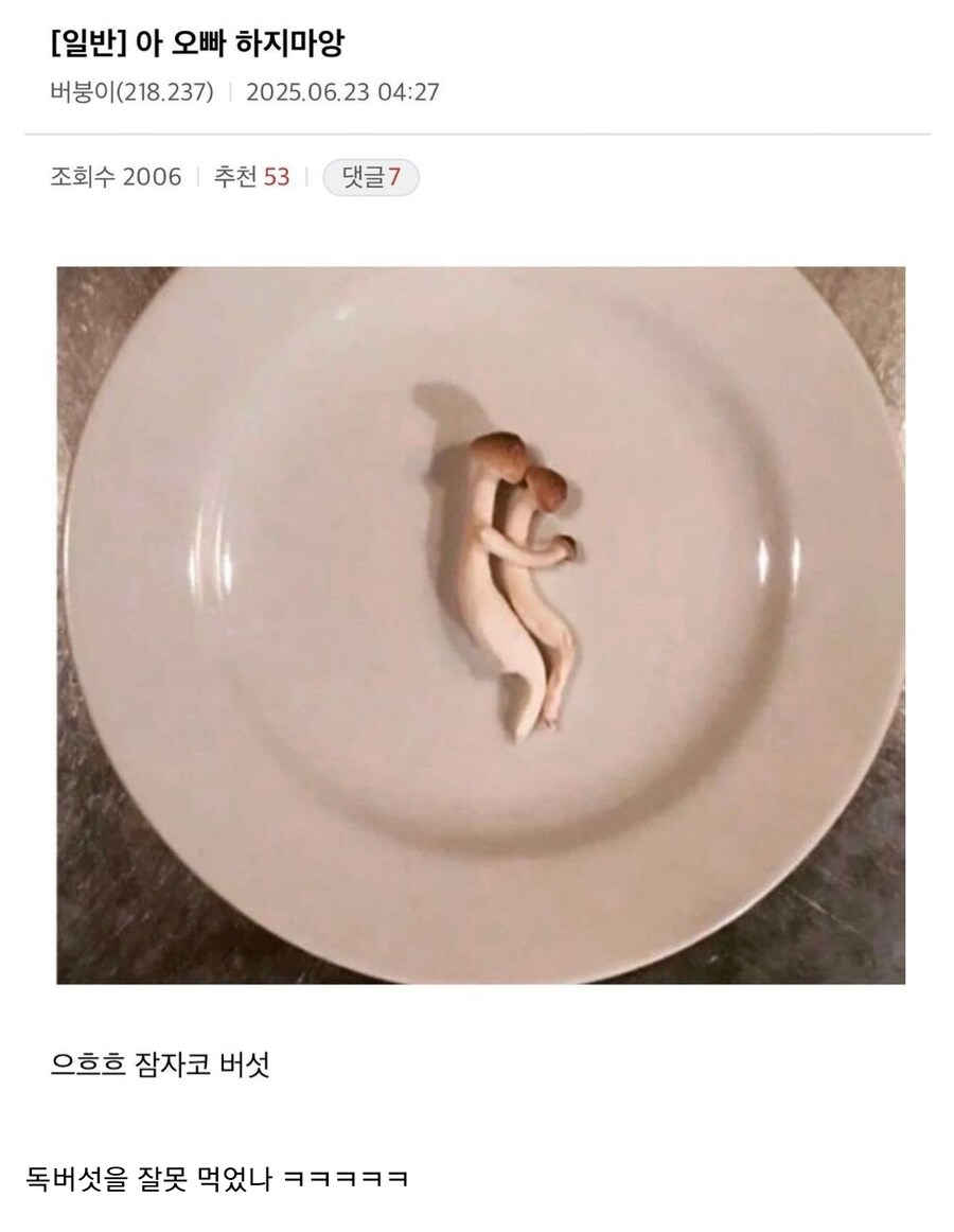 디시 버섯갤 평균 ㄷㄷ_1.jpg