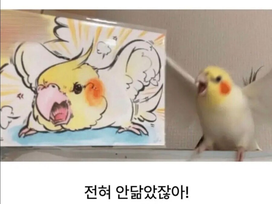 안 닮았어 빼애액!_3.jpg