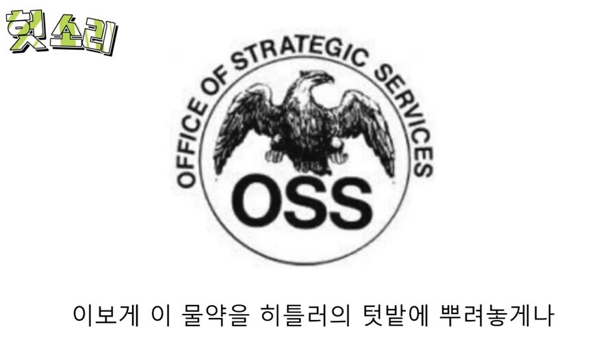 히틀러 사회적 매장 암살 작전_12.jpg