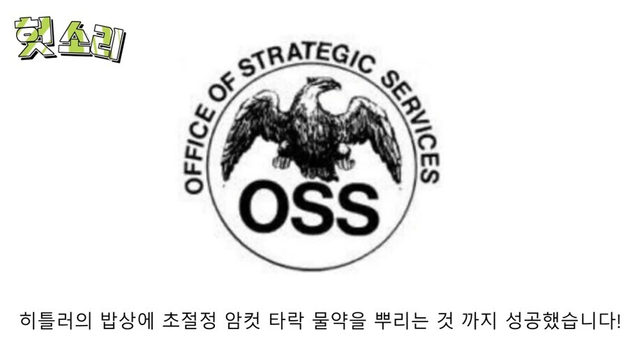 히틀러 사회적 매장 암살 작전_16.jpg