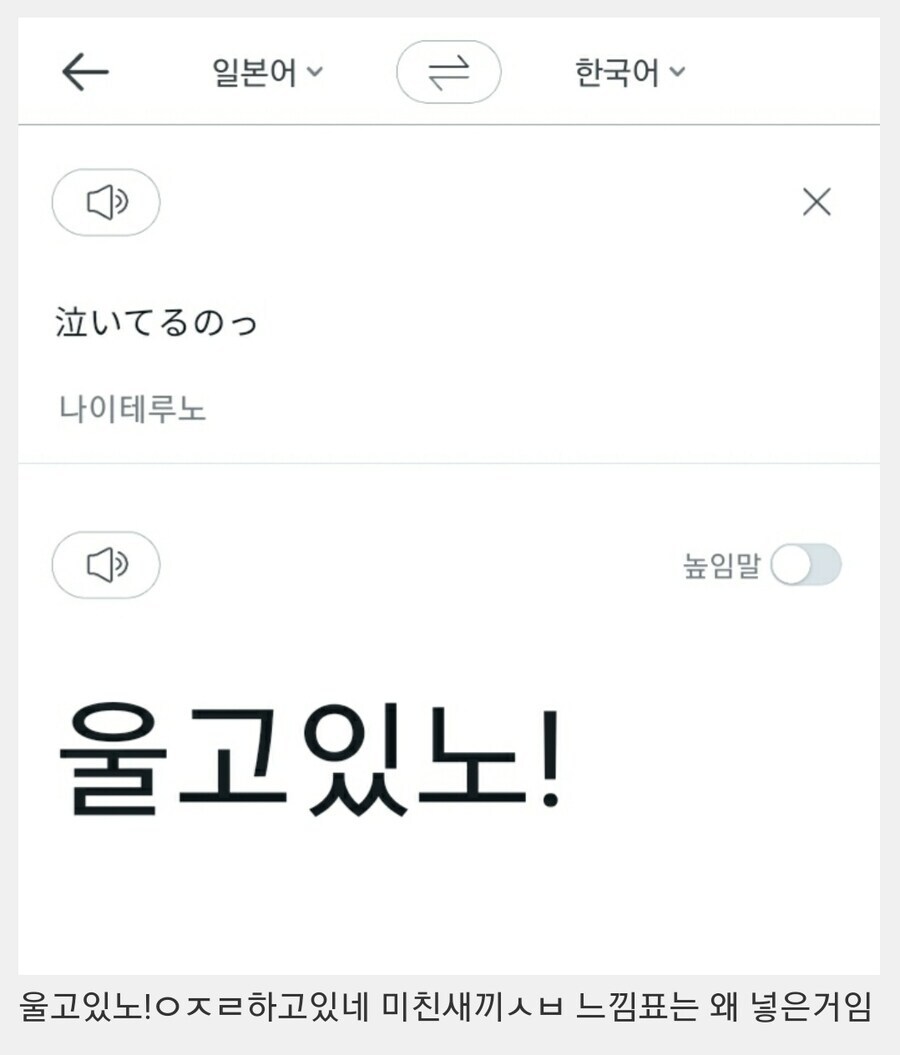 수상한 번역기.jpg_1.jpg