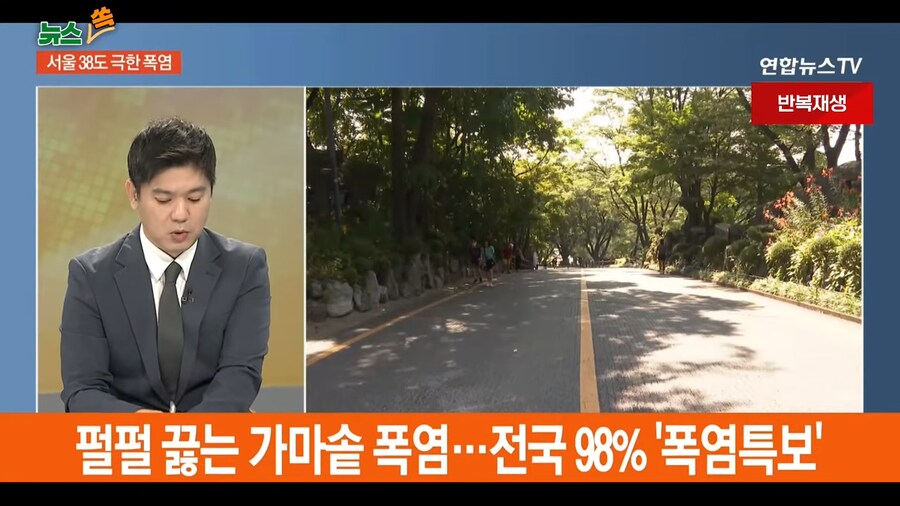 대한민국 전역 98% 폭염 특보...