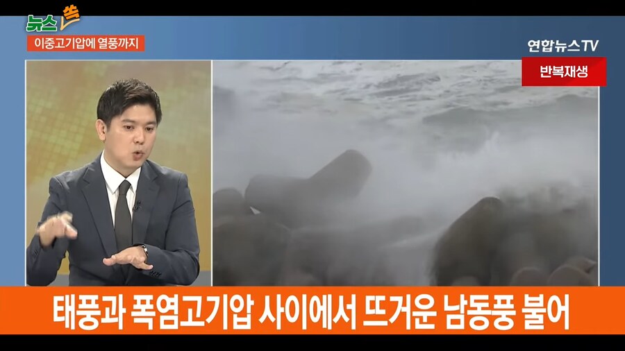 대한민국 전역 98% 폭염 특보...