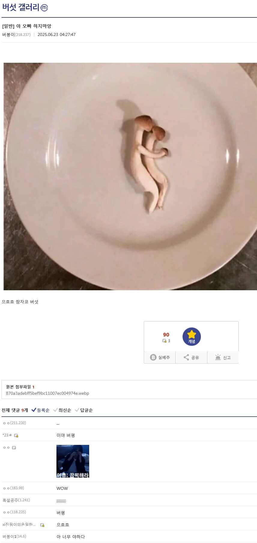 버섯 갤러리 음란물_1.png