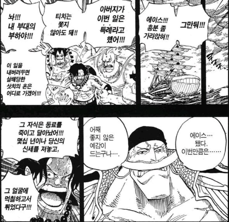 원피스 언젠간 반드시 죽을 운명이었던 에이스_1.png