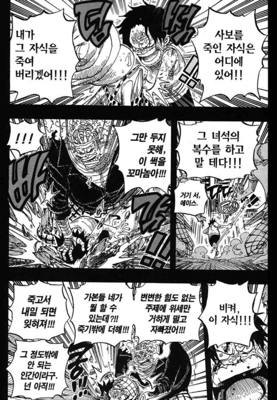원피스 언젠간 반드시 죽을 운명이었던 에이스_2.jpg