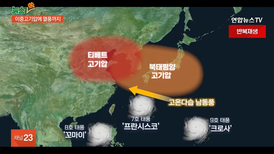 대한민국 다음주 일기예보가