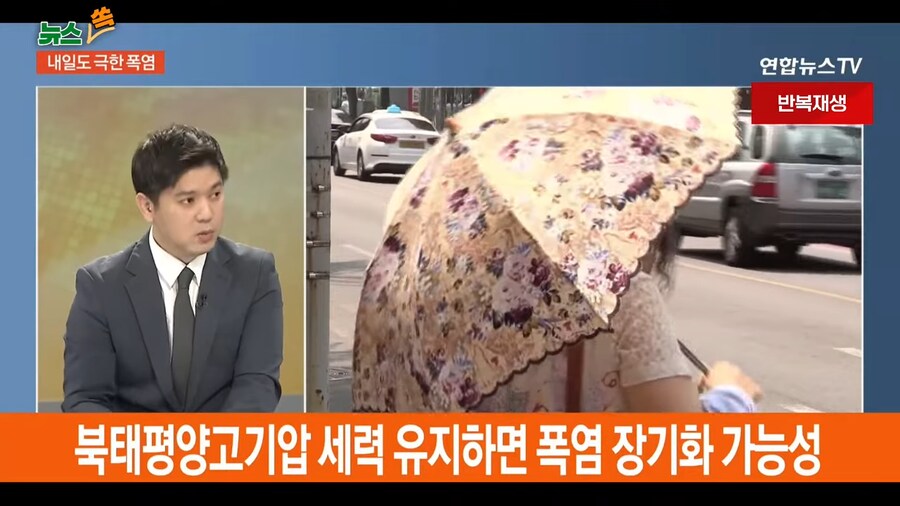 대한민국 다음주 일기예보가