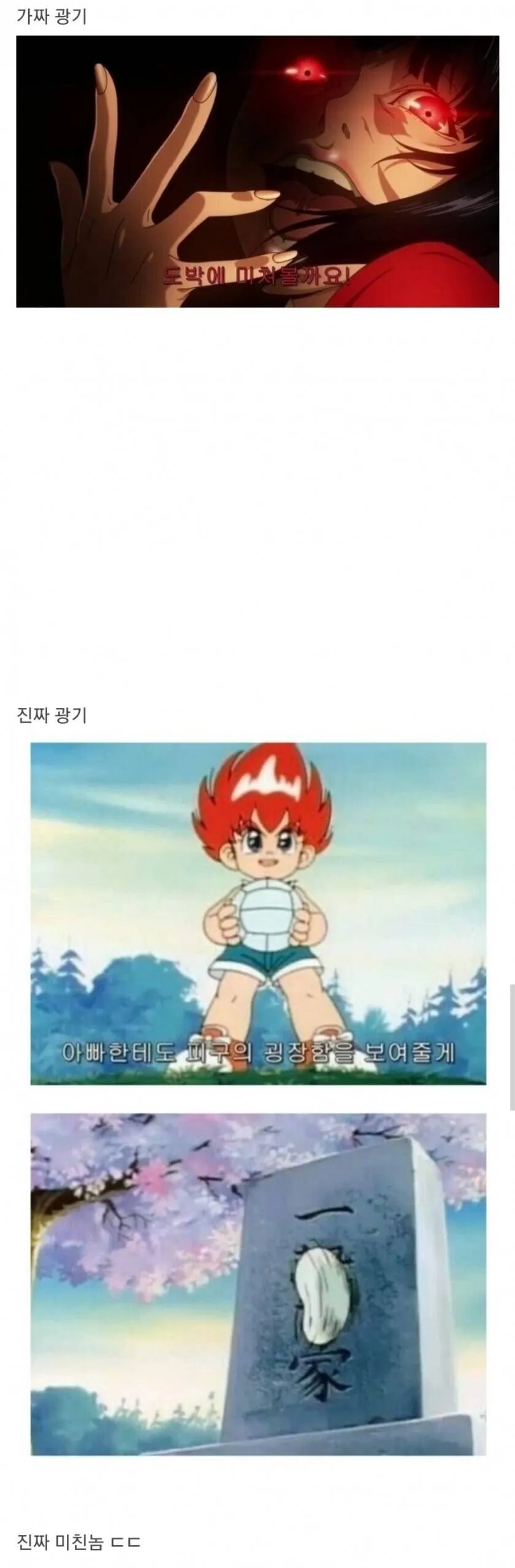 가짜 광기vs 진짜 광기_1.webp