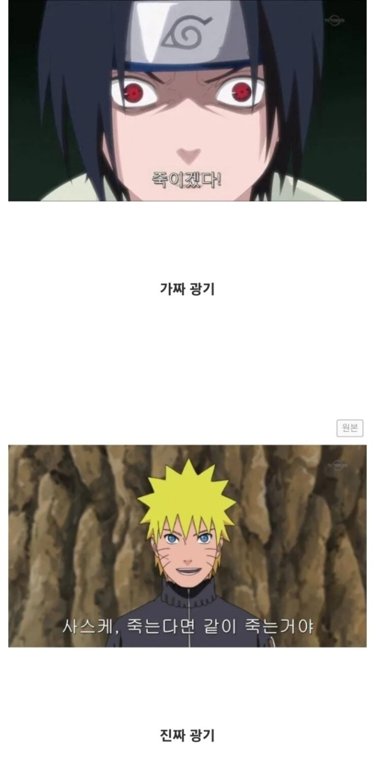 가짜 광기vs 진짜 광기_2.jpg